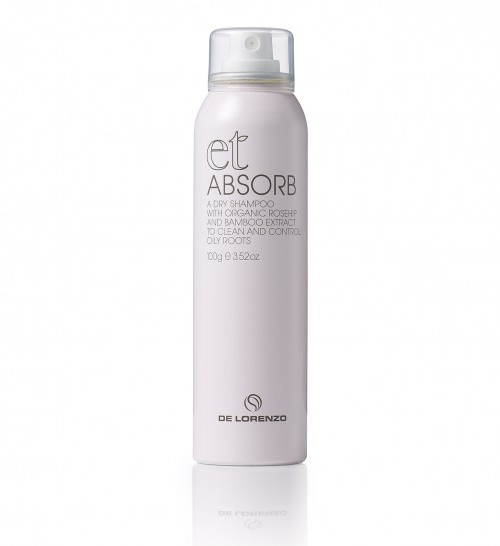 Essential Treatments Absorb Dry Shampoo 100g