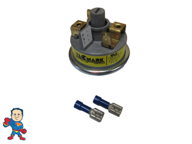 Watkins Hotspring Optional Pressure Switch 1/8" mpt 1 Amp  with (2) Spade Connectors