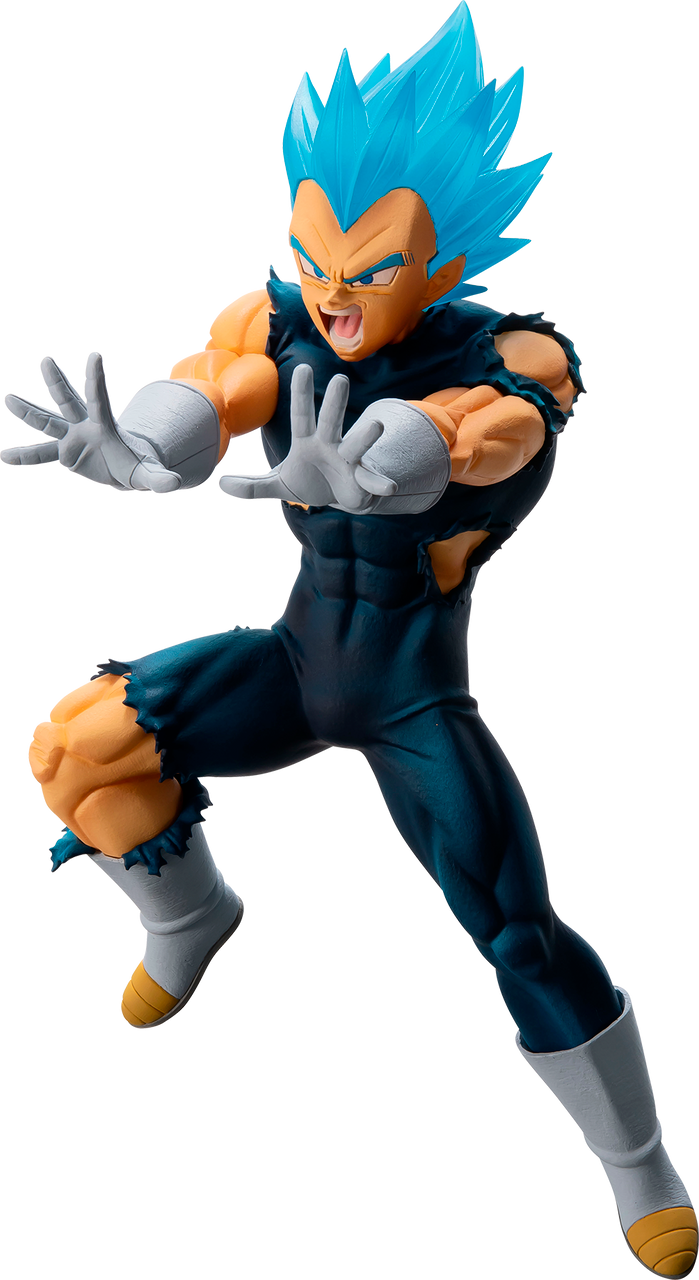 Super Saiyan God Super Saiyan Vegeta Dragon Ball Super Broly
