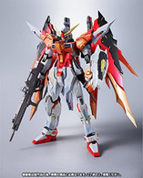 Destiny Gundam [Heine Custom] (Metal Build)