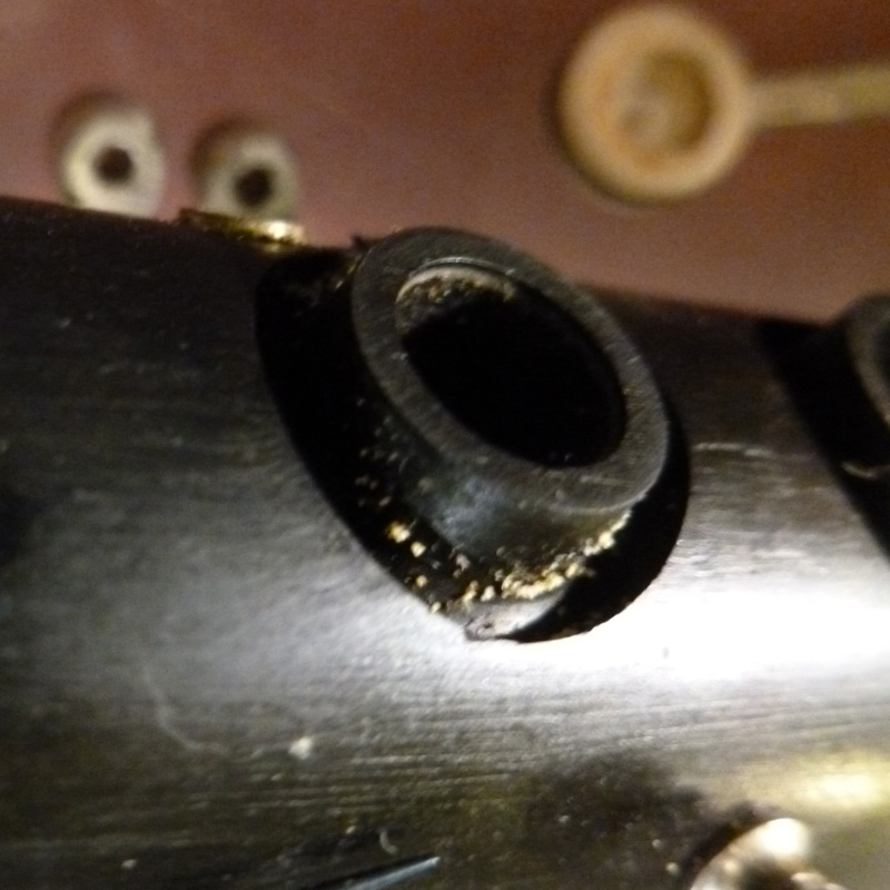 Pad Bugs/Pad Mites Curly Woodwind