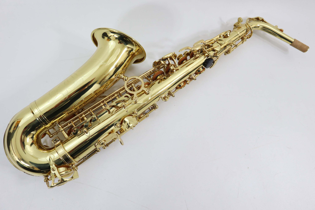 TREVOR JAMES 'THE HORN' ALTO SAXOPHONE NEW Curly Woodwind