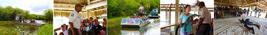 everglades-banner-home-page.png