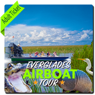 Everglades Airboat Tour + Transportation