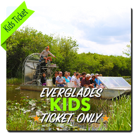 Everglades Airboat (Kids Ticket without Transportation)