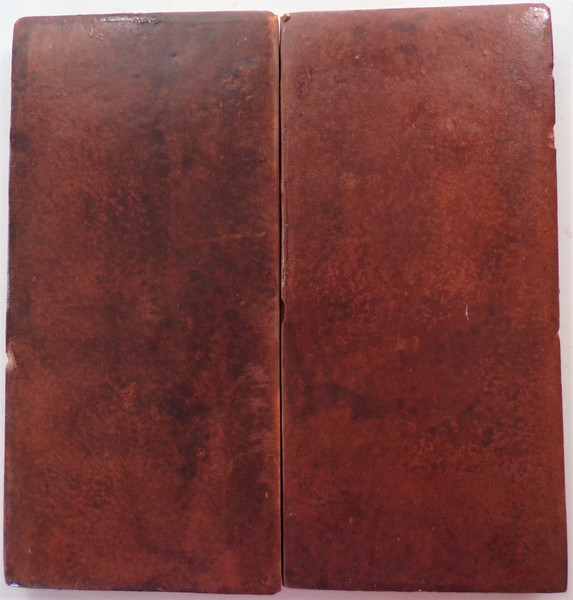 4x8 Saltillo rectangle stained cognac.