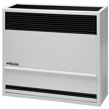 Williams 2203822 Direct-Vent Wall Furnace 22K BTU NG - Climatedoctors