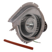 Packard 66421 Inducer Motor Assembly, ICP 1178421