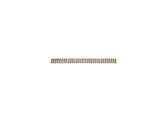 LGB Straight Track 4 Ft 10610
