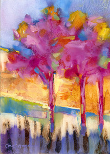 Flathead Cherry Trees-Sold out