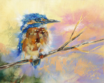 Baby Kingfisher 22-Bird- Limited Edition
