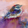 Original Baby Downy Woodpecker - Sold out