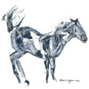 Horses - Cavallo - Black Buck