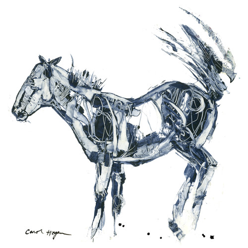 Horses - Cavallo - Scratchy Buck