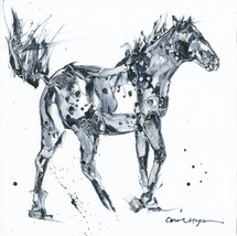 Horses - Cavallo - No Dice