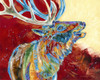 Call For Entries - Print - Limited Edition