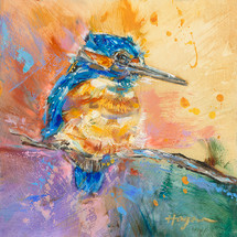 Baby Kingfisher #23