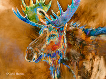 Chocolate Moose print on metal by Carol Hagan.