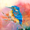 "Baby Kingfisher" print on metal by Carol Hagan.