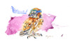 The Wild Blue Yonder Awaits-Baby Sparrow Hawk study original