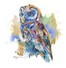 "Screech Study #1" Oil on Yupo