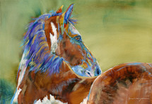 Horse - Zeus - Limited Edition - Sold