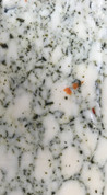 Monterey Jack Cheese with Garlic, Spinach, & Artichoke 