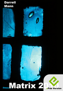 Matrix 2010 [eBook]