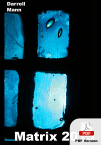 Matrix 2010 [PDF]