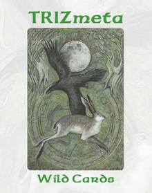 TRIZmeta Playing Cards