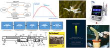 SI Ezine issue 249 - December 2022