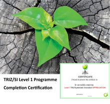 TRIZ/SI Level 1 Completion Certification Programme