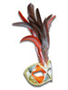 Authentic Venetian Mask Colombina Piume Ron