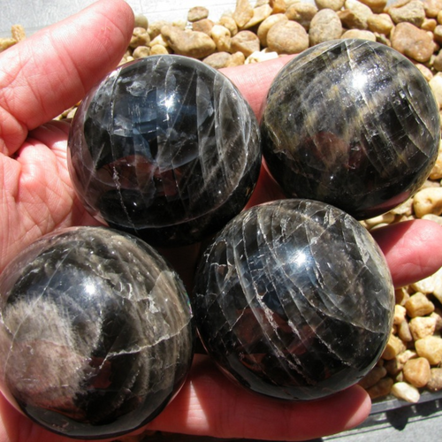 Black Moonstone Medium Sized, 45-48 MM