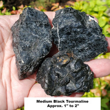 Black Tourmaline Rough, Medium Sized