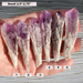 Small Bahia Amethyst Scepter Points