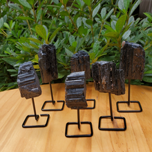 Rough Black Tourmaline Pieces on a Metal Pin Stand, Group Picture