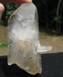LEMURIAN Seed Quartz Crystal ~ BRIDGE ~ INNER CHILD ~ RAINBOWS (4400)