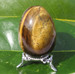 Tiger's Eye Egg, Polished 35mm Eggs