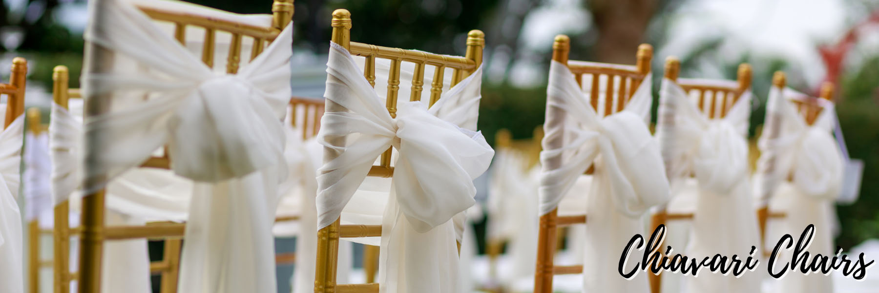 Chiavari Chairs for Events
