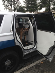 K9-C23-1 - DISCONTINUED: Standard K9 Transport System for 2015-2020 Chevrolet Tahoe