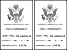 2 PACK - "CITIZEN GUN PERMIT" PRO 2ND AMENDMENT 4x6 Inch Political Bumper Stickers