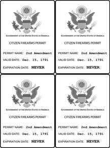 4 PACK - "CITIZEN GUN PERMIT" PRO 2ND AMENDMENT 4x6 Inch Political Bumper Stickers