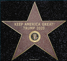 PRESIDENT DONALD TRUMP 2020 - KEEP AMERICA GREAT! HOLLYWOOD WALK OF FAME STAR 5-1/2x6 Inch Political Bumper Sticker