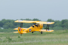 Phoenix Model Tiger Moth RC Plane, .40 Size ARF