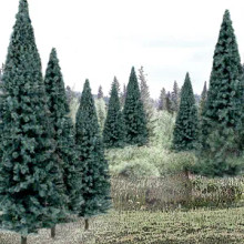 WOODLAND SCENICS 4IN- 6IN RM REAL BLUE SPRUCE 13/PK *