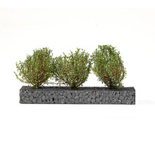 AK Interactive Dioramas: Dark Green Bushes 4-6cm -1:35 / 75 mm / 90 mm