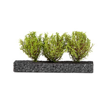 AK Interactive Dioramas: Light Green Bushes 4-6cm -1:35 / 75 mm / 90 mm
