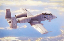 HobbyBoss 1/48 N/AW A-10A "THUNDERBOLT" II Plastic Model Kit [80324]