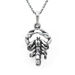 Scorpion Charm Pendant Necklace